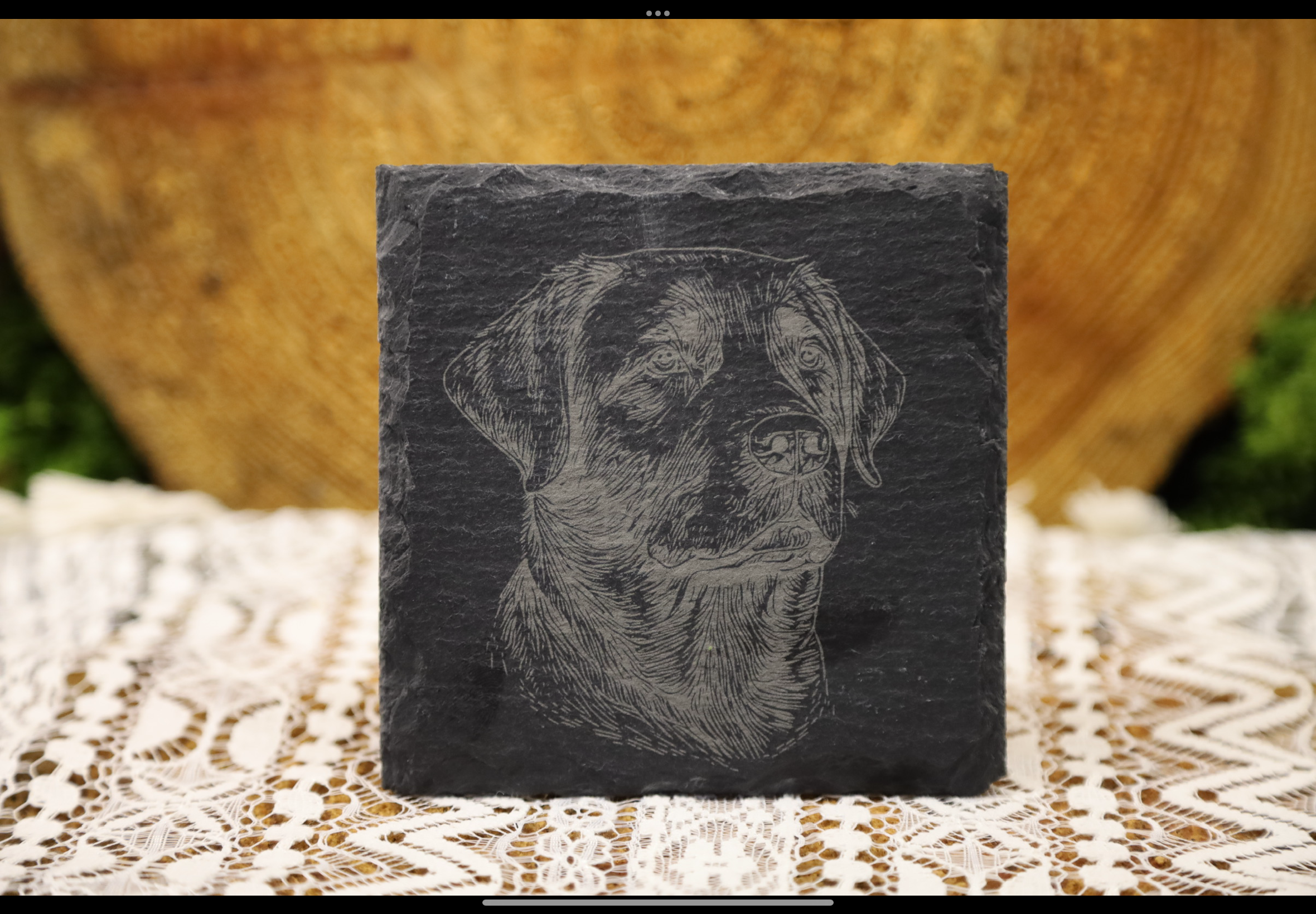 Labrador Slate Coaster